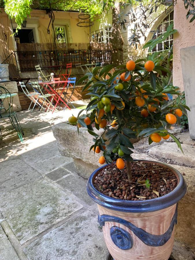 La Paillere Chambres D Hotes Mus Kültér fotó